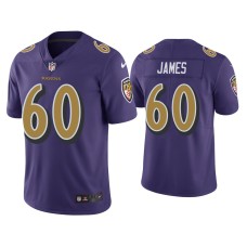 Men's Baltimore Ravens #60 Color Rush Limited Ja'Wuan James Purple Jersey